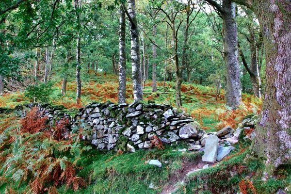Editorial cover for Dry Stone as Collective Knowledge
